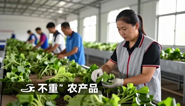 上海斋苗生物科技有限公司专注农业，提供完善农产品销售服务方案